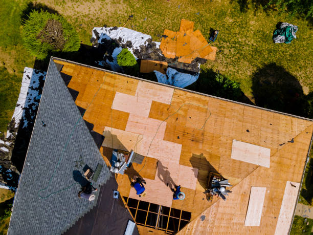 Best Roof Restoration Services  in St Joseph, MI