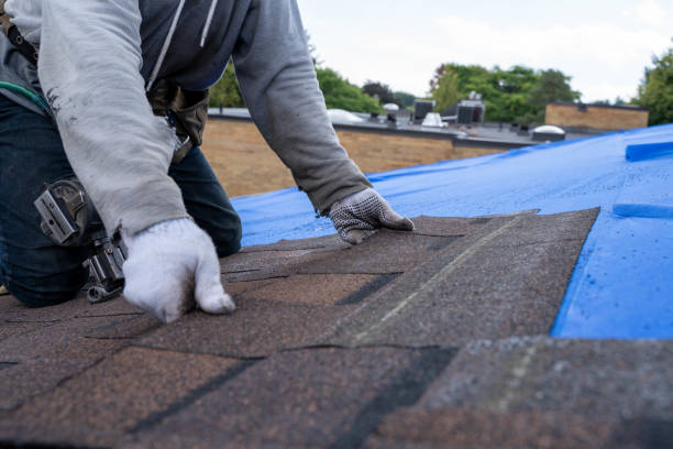 Best Commercial Roofing Services  in St Joseph, MI